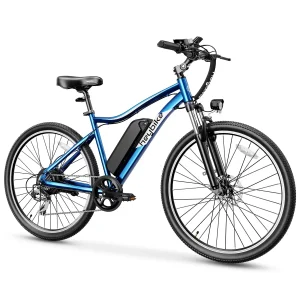 Heybike Race Max