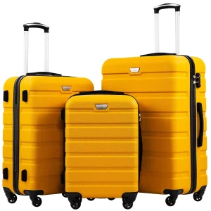 Valise Coolife