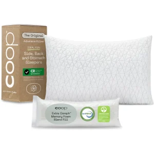 Oreiller Coop Home Goods
