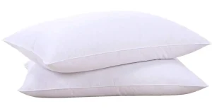 Oreillers en duvet Puredown