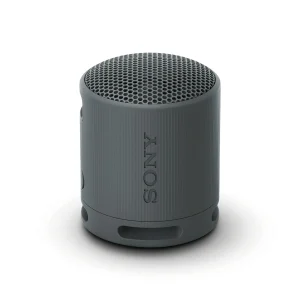 Sony SRS-XB100