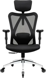 Chaise de bureau Duramont