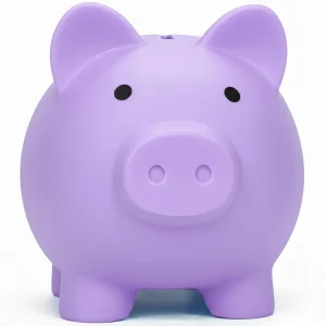 Tirelire cochon sbrvaniy